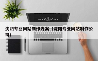 日土沈阳专业网站制作方案（沈阳专业网站制作公司）